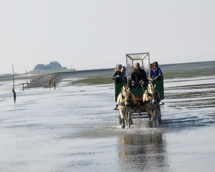 Hallig Südfall