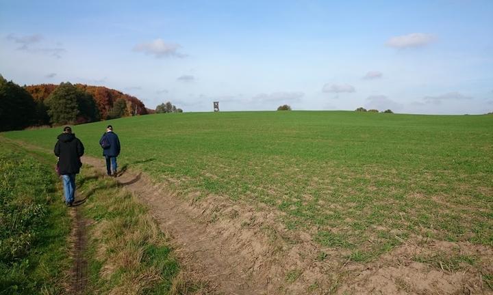 Kleine Schorfheide